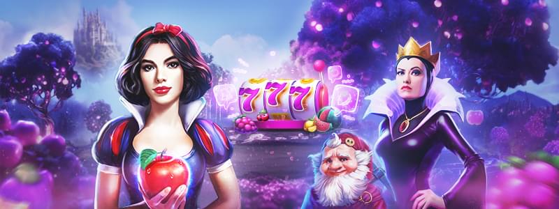 Bonus for registration!